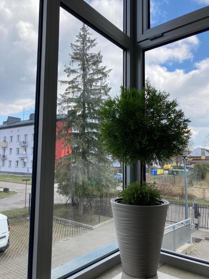 Apartament Miodowa 9 زفيجنتس المظهر الخارجي الصورة